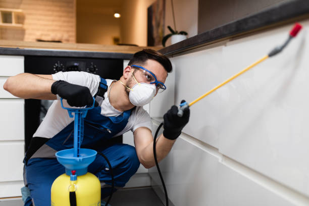 Best Pest Removal Services  in Hill N Dale, FL