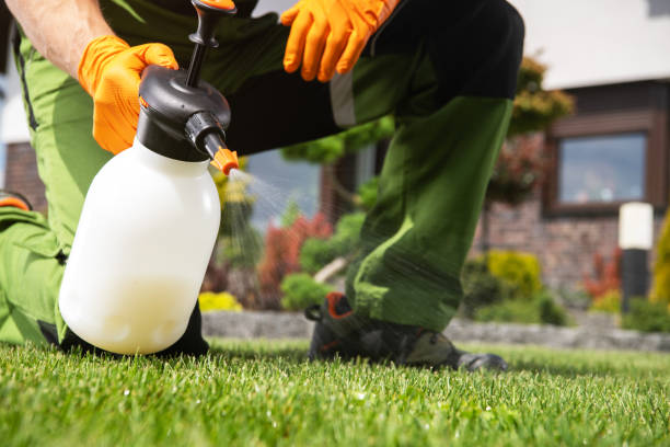 Best Commercial Pest Control Services  in Hill N Dale, FL