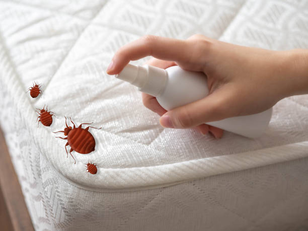 Best Affordable Pest Control Services  in Hill N Dale, FL