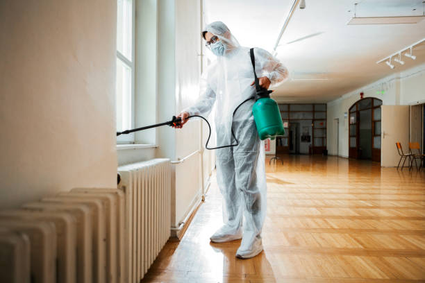 Best Local Pest Control Services  in Hill N Dale, FL